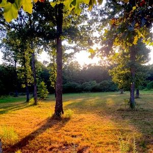 Meet your Posher, Elianna